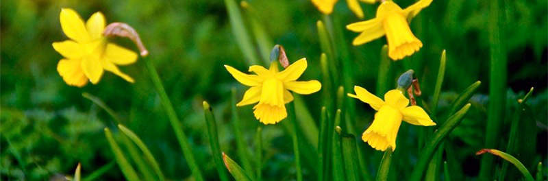 March