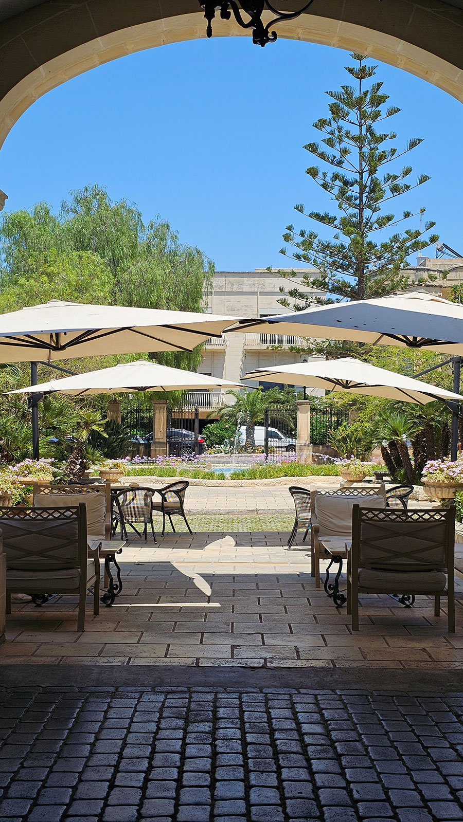Umbrellas and greenery outside the hotel